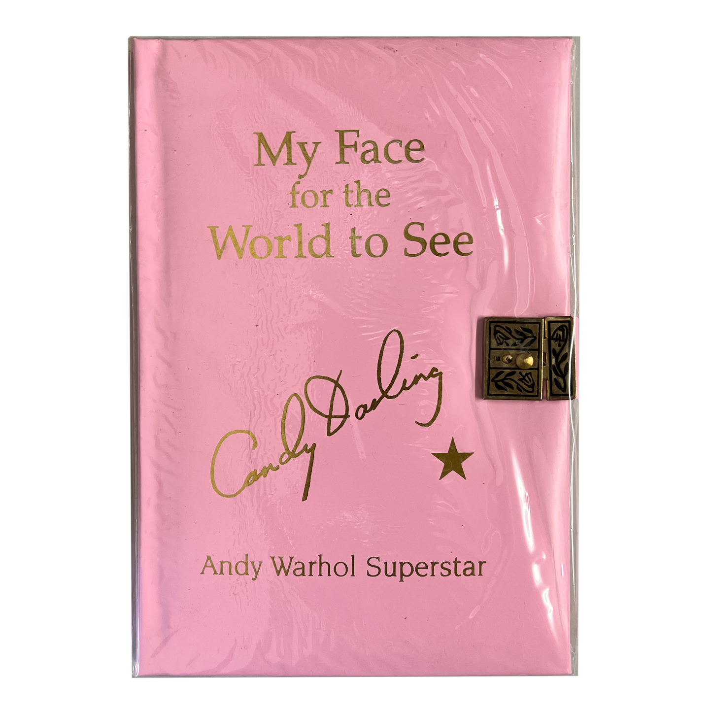 My Face the World to See - Candy Darling